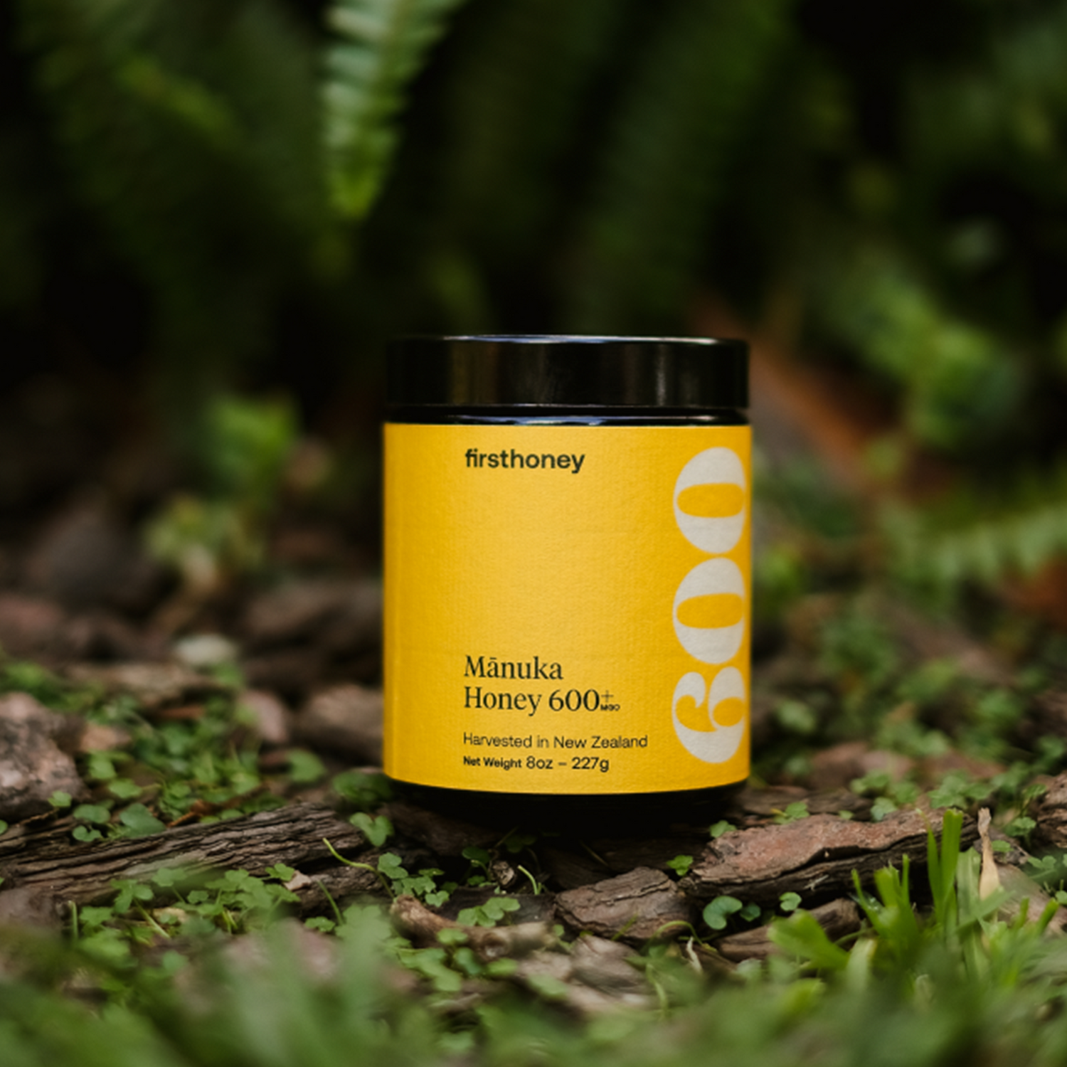 Premium Mānuka Honey 600+ MGO